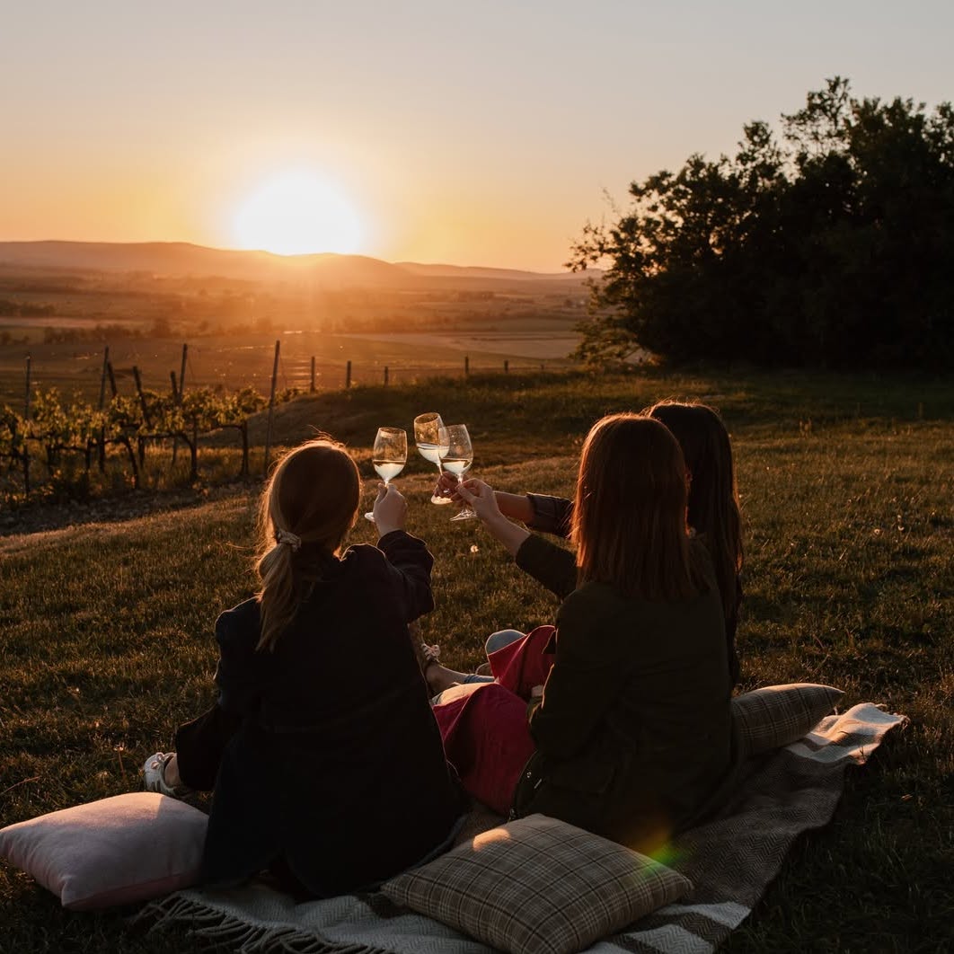 Patricius wine picnic in Tokaj